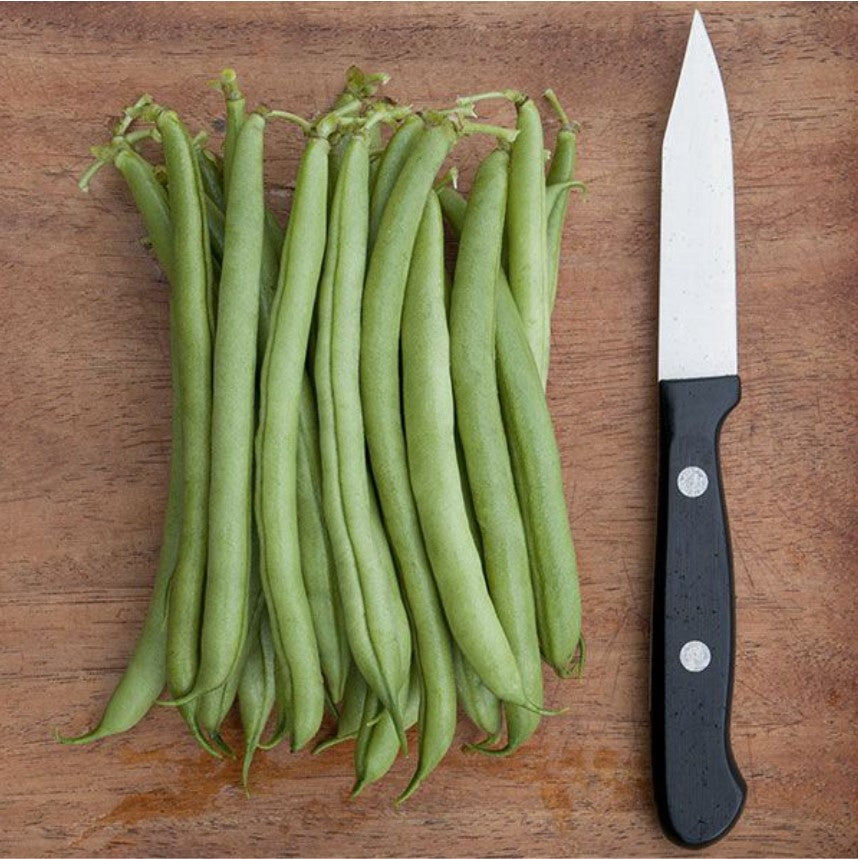 Green Beans, Provider, 4-Pack