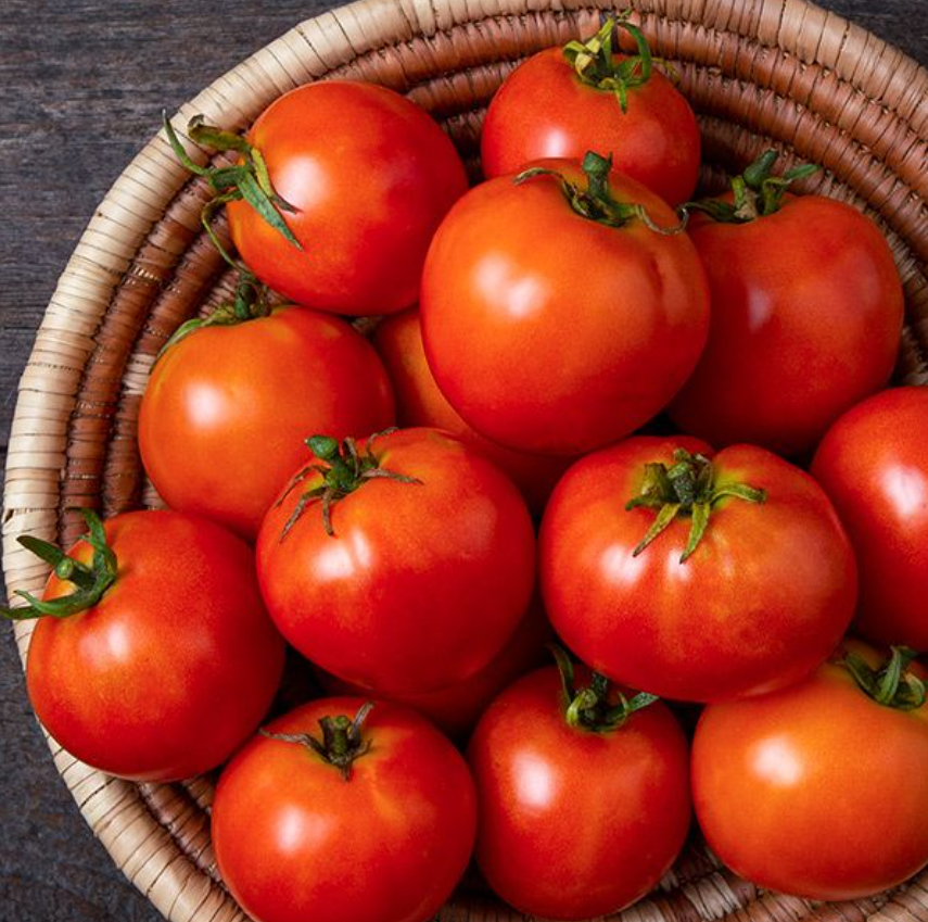 Tomato, Heirloom, Mountain Princess, 3" Pot