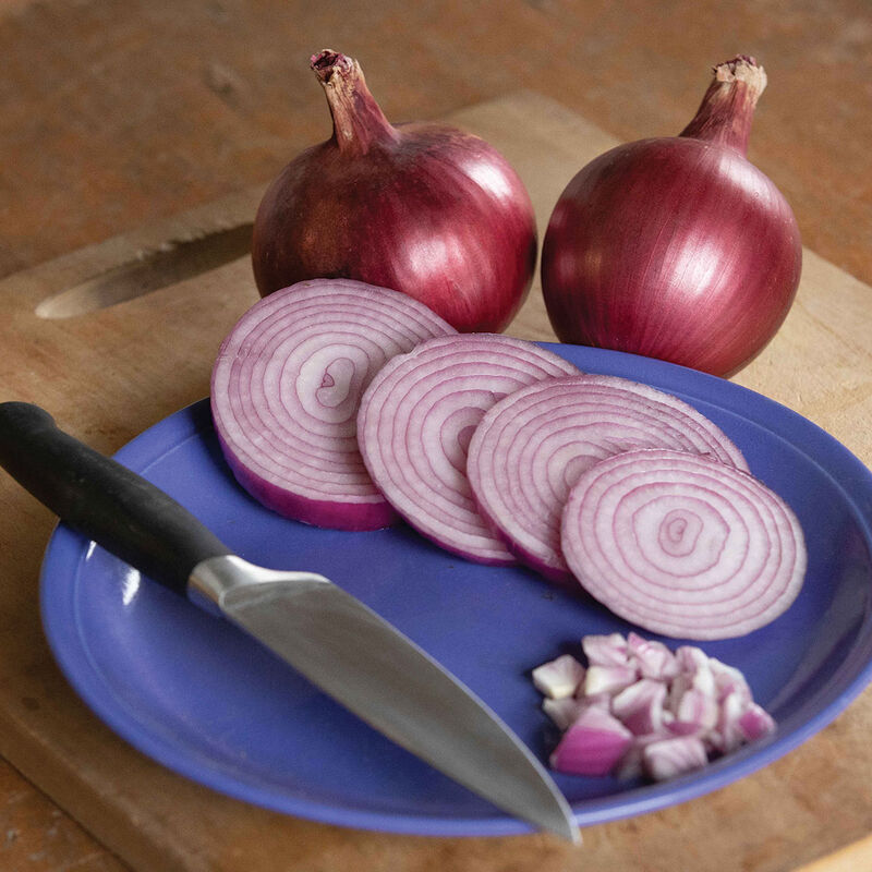 Onion, Red Storage, Red Carpet, 3" Pot