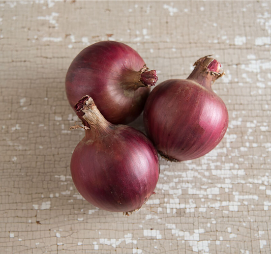 Onion, Red Storage, Red Wing, 3" pot.