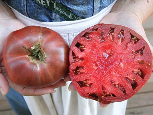 Tomato, Heirloom, Cherokee Purple, 3" Pot