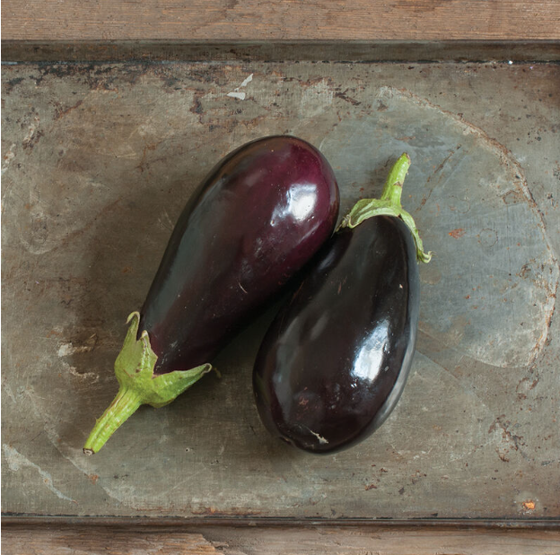 Eggplant, European, Galine, 3" Pot