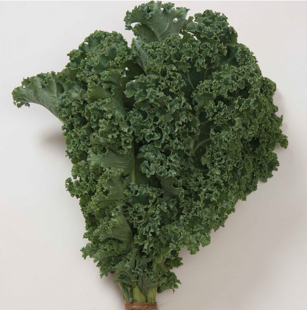 Kale, Green Curly, Winterbor, 4-Pack