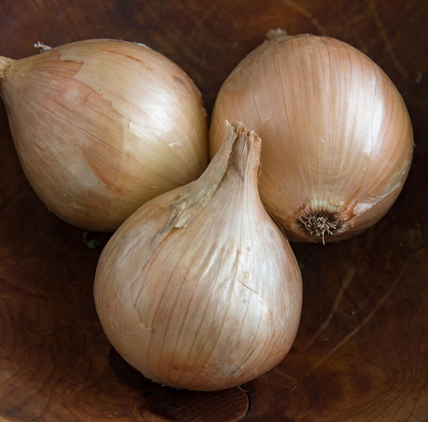 Onion, Sweet White, Ailsa Craig, 3" Pot