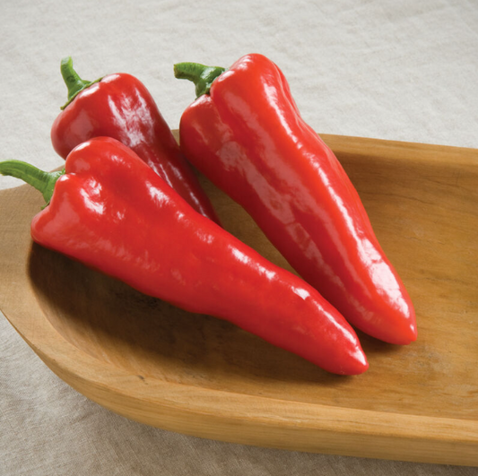 Pepper, Sweet, Carmen Corno di Toro Sweet, 3" Pot