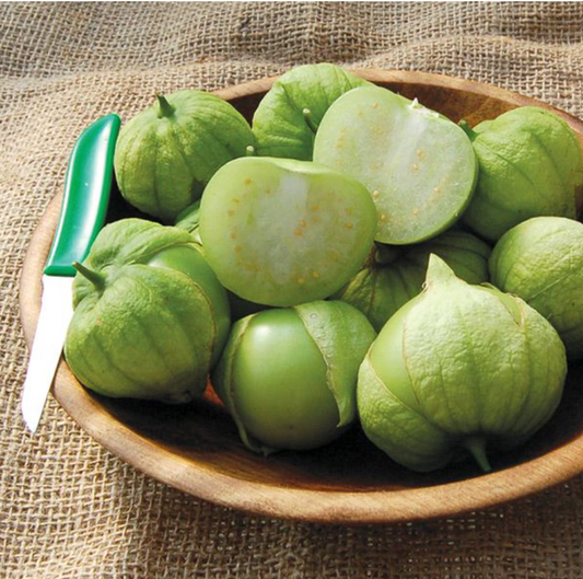 Tomatillo, Toma Verde, 3" Pot