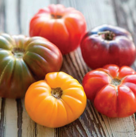 Tomato, Heirloom, Mixed Pack, 6-Pack