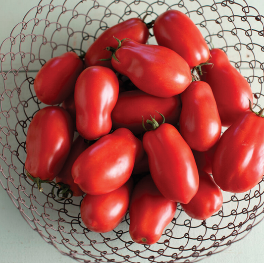 Tomato, Paste, San Marzano