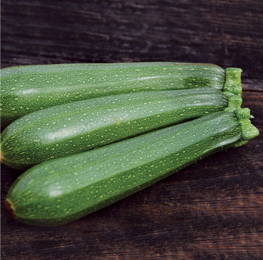 Zucchini, Dark Green